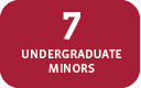7 Undergraduate Minors 7 Undergraduate Minors
