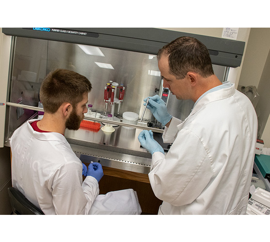 Faculty student research