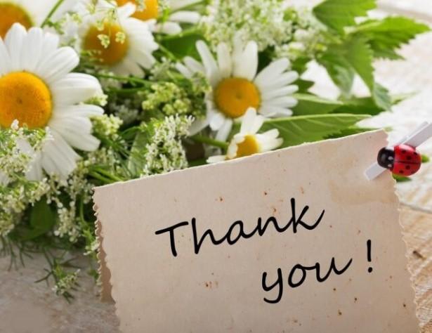 Thank you card with daisies and a ladybug decoration