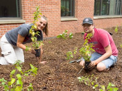 Pollinator garden 1.jpg Emily McCurdy and Ben Lisek planting Viterbo pollinator garden