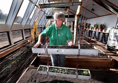 SIster Lucy greenhouse SIster Lucy greenhouse