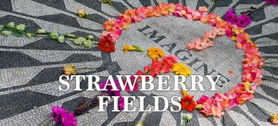 Strawberry Fields web.jpg