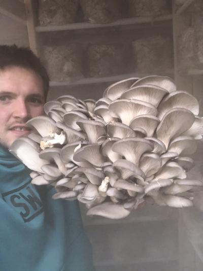 Tanner Sanness Tanner Sanness