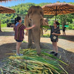 Thailand SP25_2
