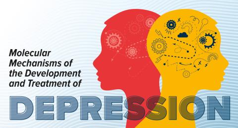 Tan Symposium Depression.jpg